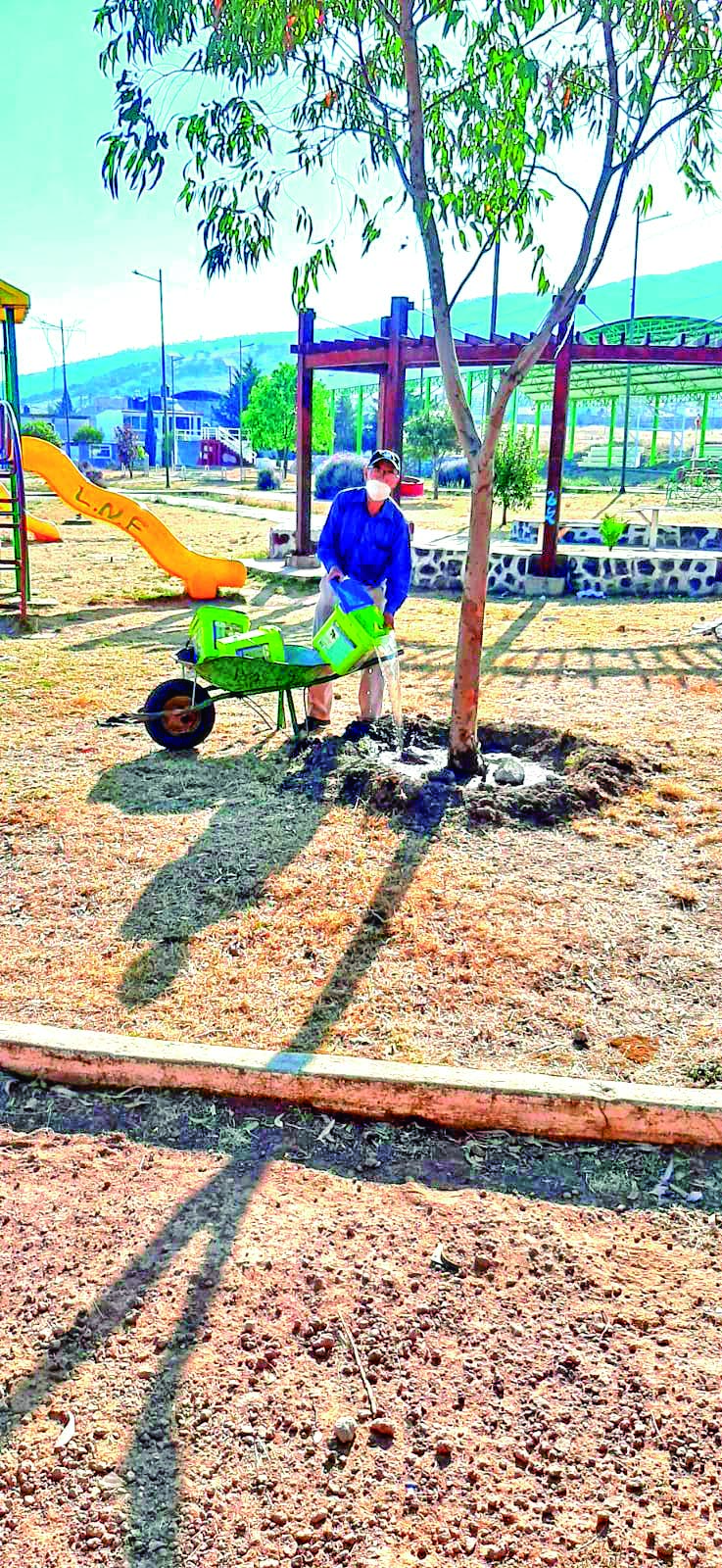 Don Ignacio Rosales Ortiz, ciudadano que realiza trabajos de jardinería en el parque de la U, sin ninguna remuneración
