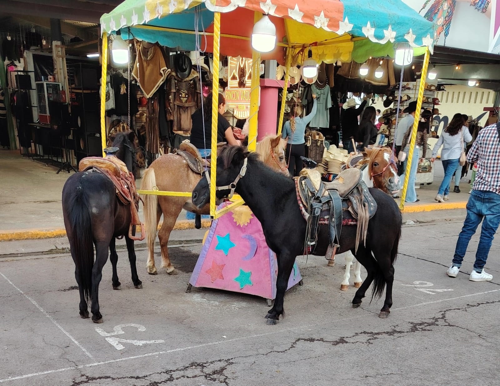 Asistentes a la Expo Feria se preguntan por qué se sigue permitiendo el “carrusel viviente”, ya que consideran un maltrato tener a estos animalitos sin oportunidad de que descansen y someterlos al estrés del ruido por varias horas.