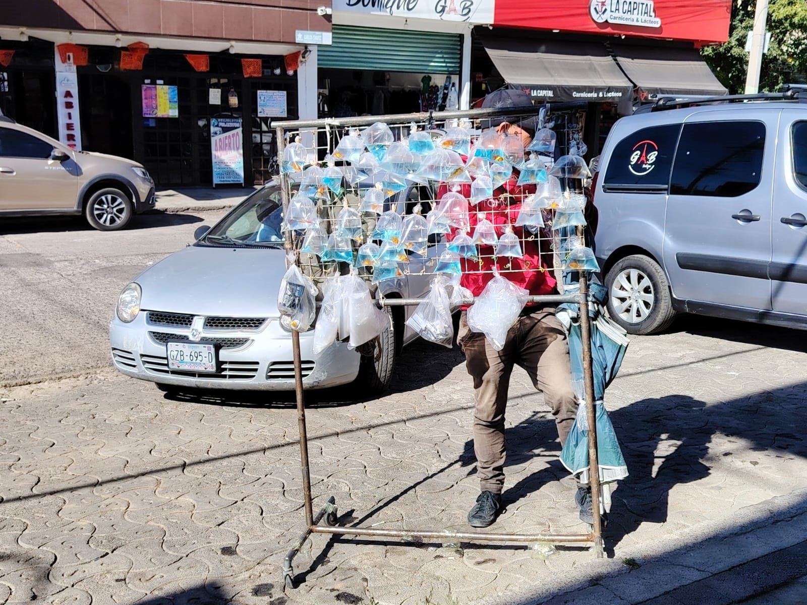 Vendedores ambulantes de peces, los ofertan en bolsas de plástico, pero expuestos al sol lo que sin duda, mengua la salud del animal acuático y solo los comercializan para morir a las pocas horas. ¿Y Reglamentos?