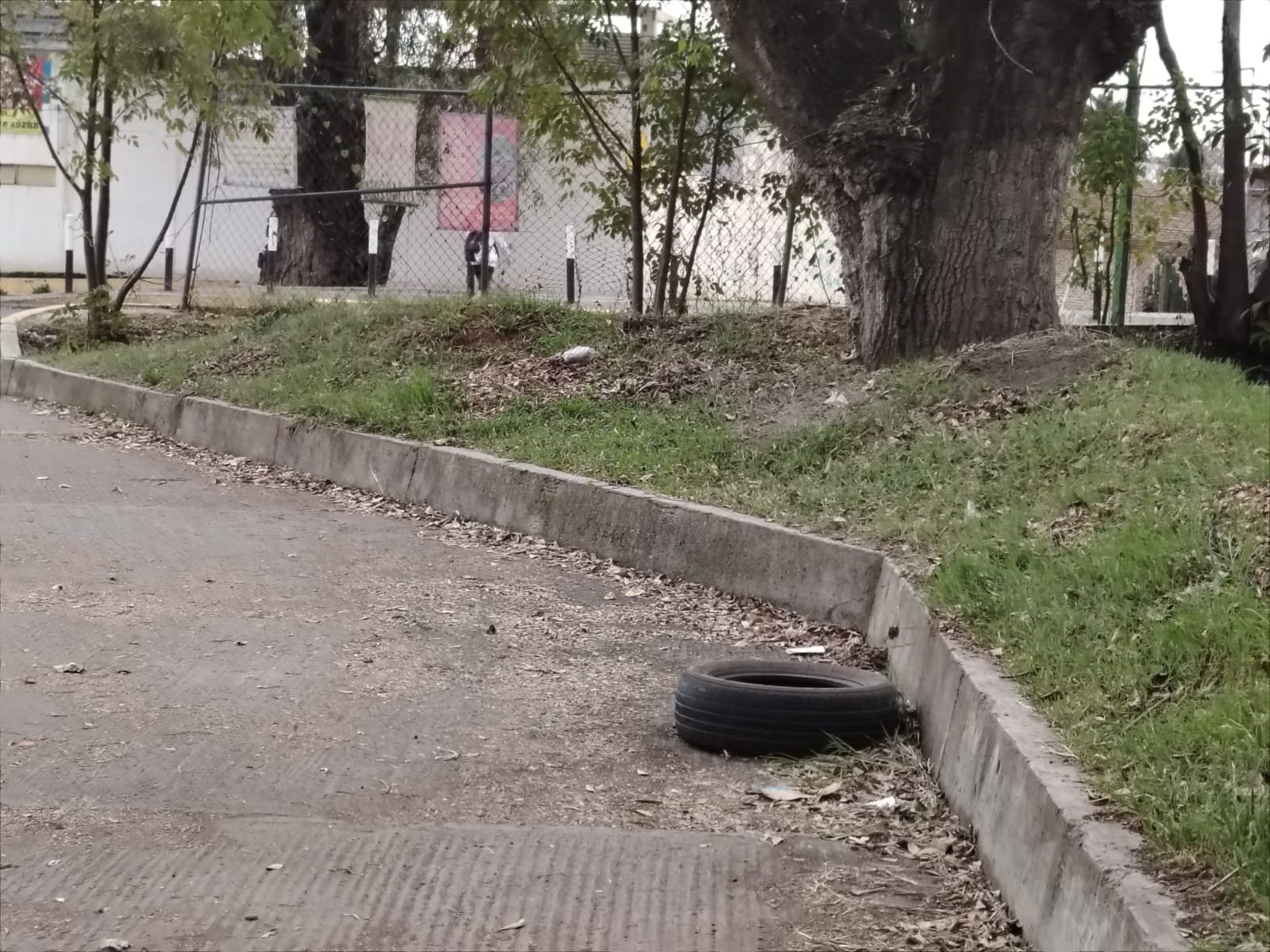 A falta de rejilla, una llanta para evitar que un ciclista o peatón caiga en la coladera y resulte lastimado. Esto en 5 de Febrero, frente al Seminario.